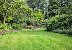 Optimiser l'expérience du jardin à Thezy-Glimont
